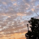 （6070）平日だけど遠方。