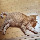 狩るオトコ