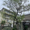 🏯柴田勝家とお市の方が眠る西光寺へ――北ノ庄城址を訪ねたそのあとに（福井県福井市）