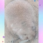 『名前』の画像