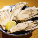 【六本木】東京でいちばん美味しい牡蠣料理を目指す、大人の隠れ家「六本木 かき心」