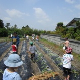 『秋のお楽しみ』の画像