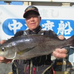 中本渡船　釣果情報