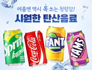 韓国人「韓国はどうしてこんなに炭酸飲料が高いのか？」