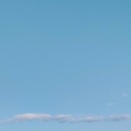 もう病気やね。