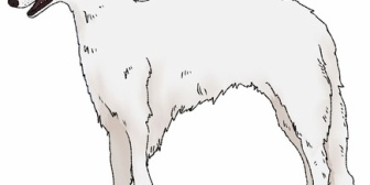 犬に触ろうとした低学年くらいの女の子に「バイ菌がつくからダメだよ」と言って、犬を遠ざけたら…