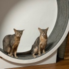 グレー兄弟の距離感