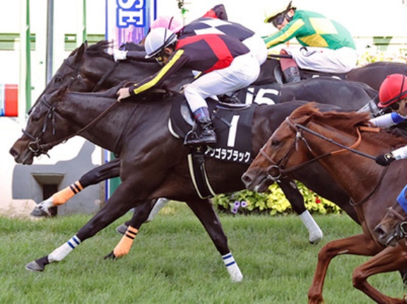 【競馬予想】[2]第44回中山牝馬ステークス(GⅢ) /2026