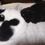 酒とロックな日常