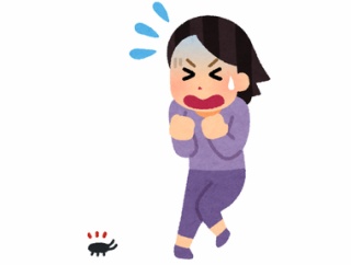 ワイの部屋ゴキブリがほぼ毎日出てきて終わる
