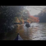 �ؤ���������ե���å�������ǯ�Ϲ���������ǯ�٤β���