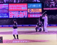 【画像】この球場の看板、めちゃくちゃ邪魔なんだがｗｗｗｗｗ