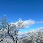 ２りんかんブログ