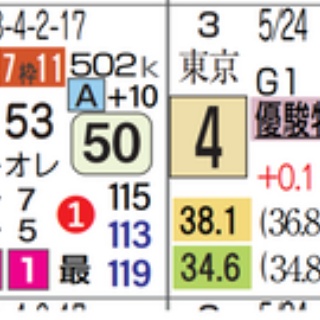 ハイブリッド競馬新聞