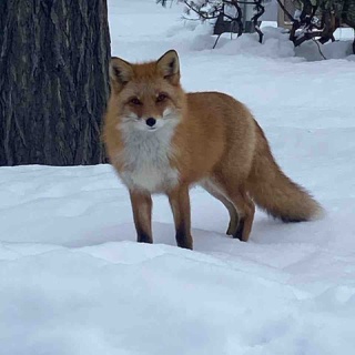 スッキリしたい！