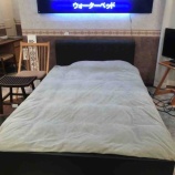 ��EarlySpring(�����꡼���ץ��)�ե������������3��31���������������٥åɡ٤β���