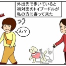 ワンコの容姿・・・羨ましいと思った話