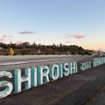 減量に苦しむサブスリーランナーの練習日記