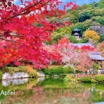 スイスの街角から
