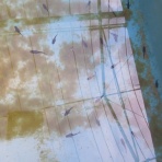 凸凹めだか凸凹の正直しんどい