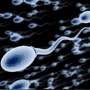 【朗報】ワクチン接種後「精子に悪影響みられず」