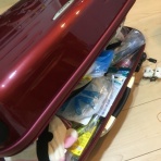 たころぐ。二ヶ国留学記▼