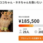 ニャンニャンみずほ　地域猫の会