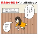 放鳥後の苦労を、インコは知らない