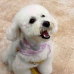 ミーblog