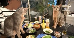 だんなさまごはんの、唐揚げ定食の夜ごはん