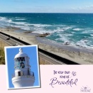 【2026 富士山と初詣の旅(7)】御前崎灯台で素晴らしい景色に感激〜ッ！
