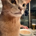 チキンクリームシチューとごちそうサラダとかの夜ごはん&楽天マラソン最終日