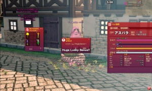 ホワイトハーブの採集にはやっぱりハーブ豚