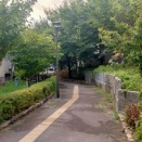 夏も終わりが近いのか