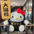 箱根の新スポット～大涌谷「ちきゅうの谷」、箱根駒ケ岳「芦ノソラ」～