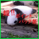 『超ポイントバック祭【12月13日～17日】エントリー＆クーポンまとめ』の画像