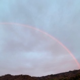 『虹』の画像