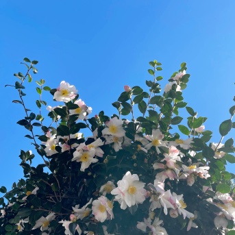 今季の買い足し ほぼほぼなし ／ 日用品ストック