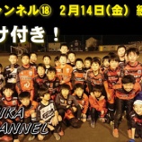 『シカチャンネル⑱』の画像