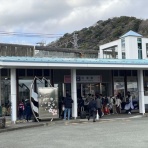 ディスカスの逍遥日誌