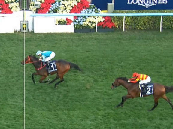 スミヨン激怒「日本のジョッキーがカットしてきた。完全に狂わされてしまいました」