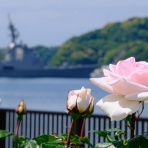 やすはいま（再）