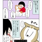 柴犬どんぐり三毛猫たんぽぽ