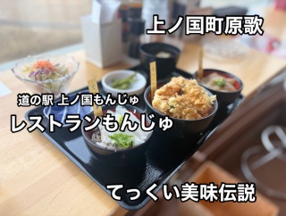 檜山郡上ノ国の道の駅 もんじゅ内にある「レストランもんじゅ」にて 縞エビの踊り食いと 3種の丼が楽しめる てっくい美味伝説をキメてきました！