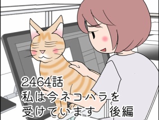 あんこ＆麦2465 私は今ネコハラを受けています後編