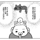 NO.68  黒ネコのメイさん
