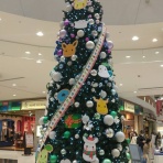 小さいおっちゃんのブラジリアン柔術 挑戦blog🏅