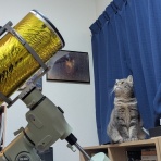 あんとんシュガー(@anntonshuga)のblog