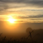 みちくさんぽ♬（人生道草散歩）