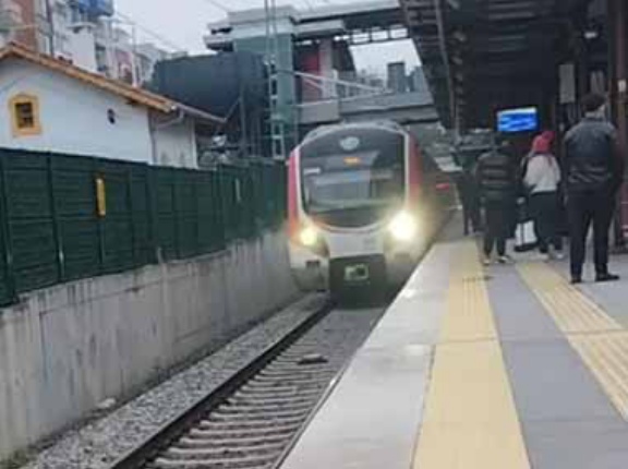 【慣れすぎ】 列車がホームに入ってきた。ギリギリだ！ → トルコの猫はこんな所にいます…